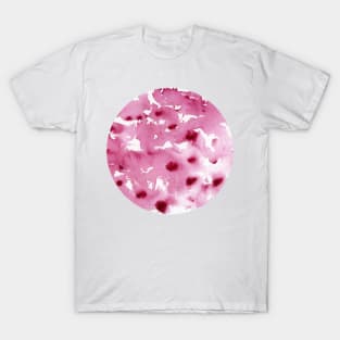 Poppies (circle) T-Shirt